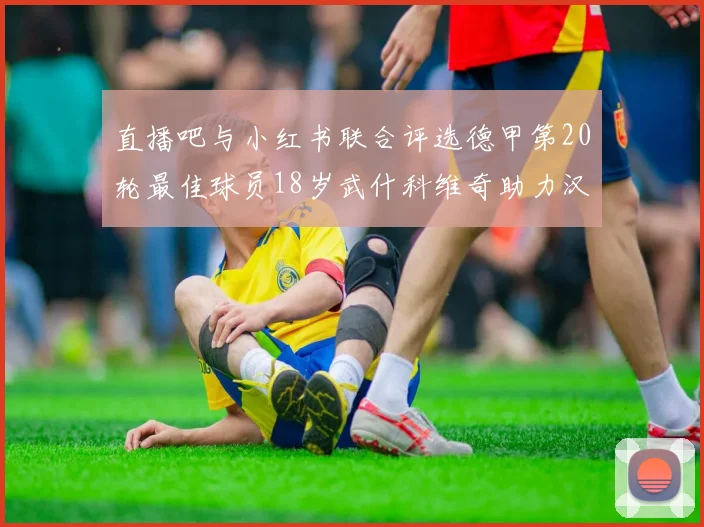 直播吧与小红书联合评选德甲第20轮最佳球员18岁武什科维奇助力汉堡逼平拜仁